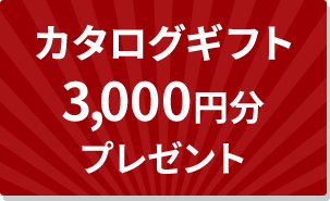 カタログギフト3,000円分 プレゼント